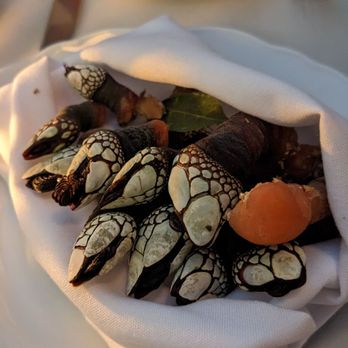 Txikito - Special barnacles - Basque Near Me - New York, New York