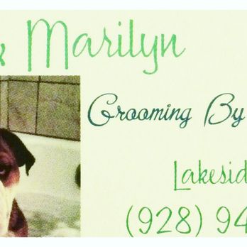 Shaggy To Chic - Pet Groomers Near Me