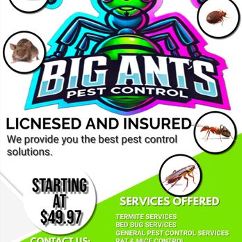Big Ants - Get 10% off for the full month of March when signing any contract - Pest Control Near Me Big Ants - Get 10% off for the full month of March when signing any contract - Pest Control Near Me