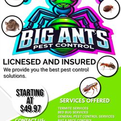 Big Ants - Get 10% off for the full month of March when signing any contract