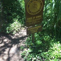 There's a large closed gate at the beginning of this trail, but just simply walk through it. This trail is open. There's a large closed gate at the beginning of this trail, but just simply walk through it. This trail is open.
