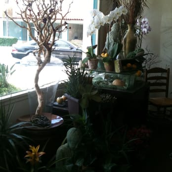 Alpha Floral - Florists Near Me - Santa Barbara, California Alpha Floral - Florists Near Me - Santa Barbara, California