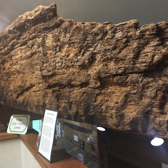 Forks Timber Museum - Museums Near Me - Forks, Washington