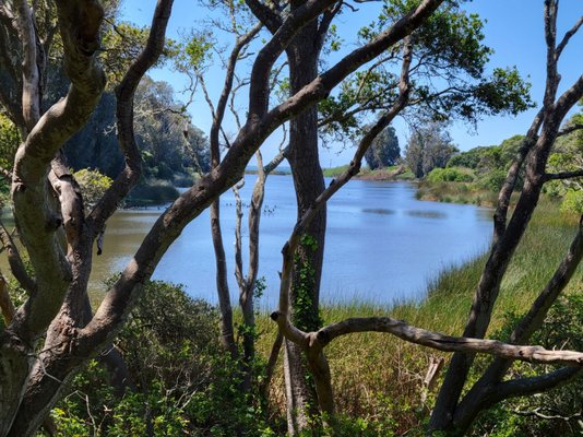 Twin Lakes State Beach by null