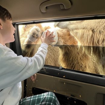 Tennessee Safari Park - Parks Near Me - Alamo, Tennessee
