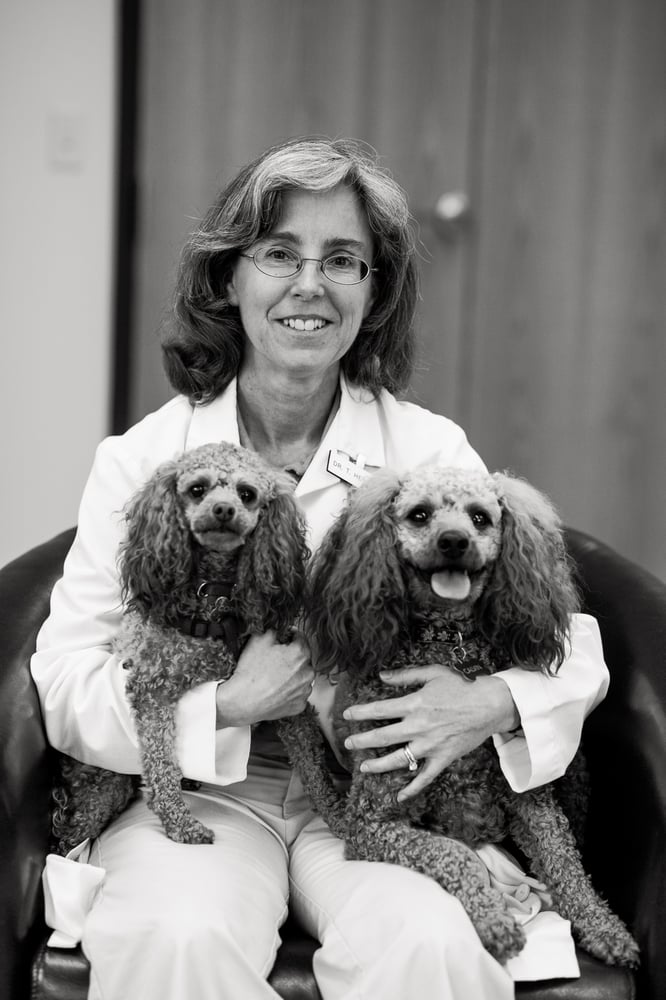 LIVERPOOL VILLAGE ANIMAL HOSPITAL Updated September 2024 29 Photos & 41 Reviews 6770