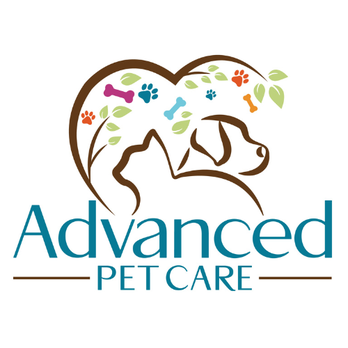 Advanced Pet Care - Veterinarians Near Me - Hattiesburg, Mississippi Advanced Pet Care - Veterinarians Near Me - Hattiesburg, Mississippi
