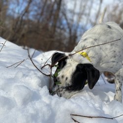 Digging for treasure