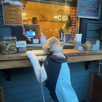 The Dragonfly Coffee House - My girl loves this place too! - Coffee & Tea Near Me - Portland, Oregon