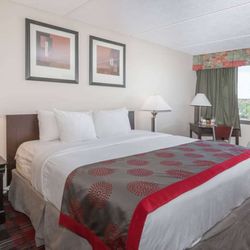 Ramada Plaza by Wyndham Albany - 1 King Bed Room