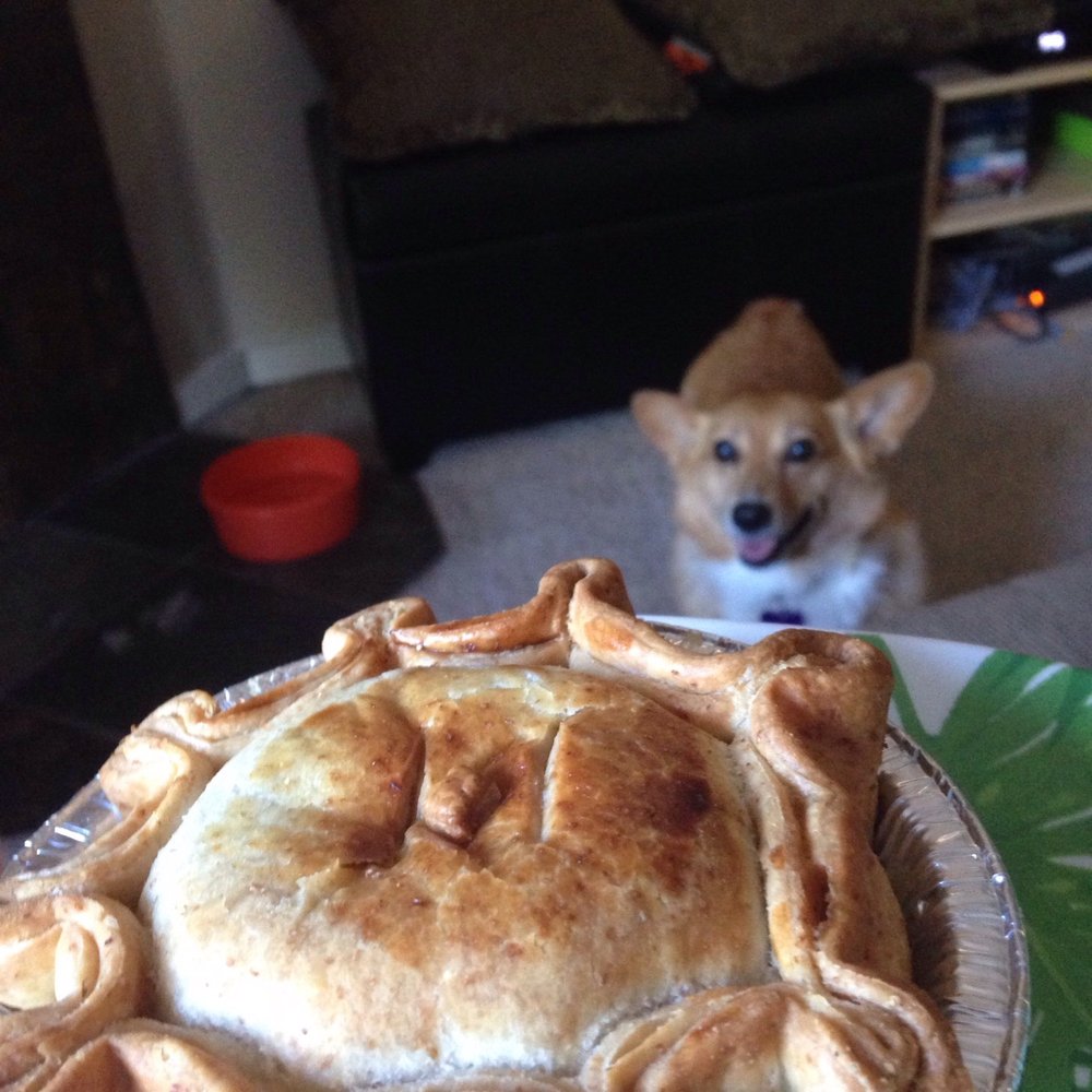 314 Pie - The corgi recommends chicken pot pie. - Food Trucks Near Me 314 Pie - The corgi recommends chicken pot pie. - Food Trucks Near Me