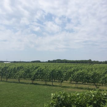 Macari Vineyards - Wineries Near Me - Mattituck, New York