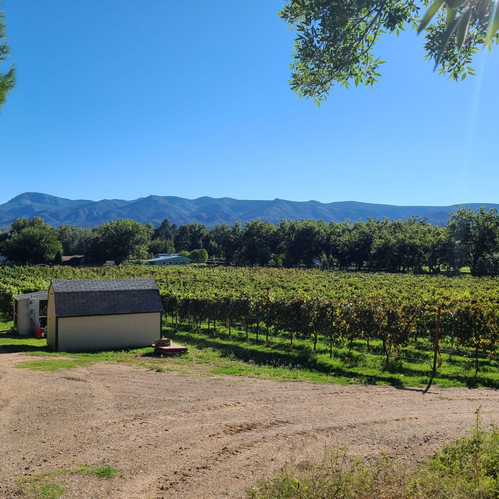 Salt Mine Wine - One of the vineyards with the beautiful mountains in the background - Wine Tasting Room Near Me - Camp Verde, Arizona Salt Mine Wine - One of the vineyards with the beautiful mountains in the background - Wine Tasting Room Near Me - Camp Verde, Arizona