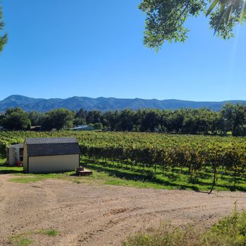 Salt Mine Wine - One of the vineyards with the beautiful mountains in the background - Wine Tasting Room Near Me - Camp Verde, Arizona Salt Mine Wine - One of the vineyards with the beautiful mountains in the background - Wine Tasting Room Near Me - Camp Verde, Arizona