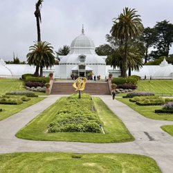 Conservatory of Flowers - 6/26/26