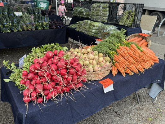 Grand Lake Farmers Market by null