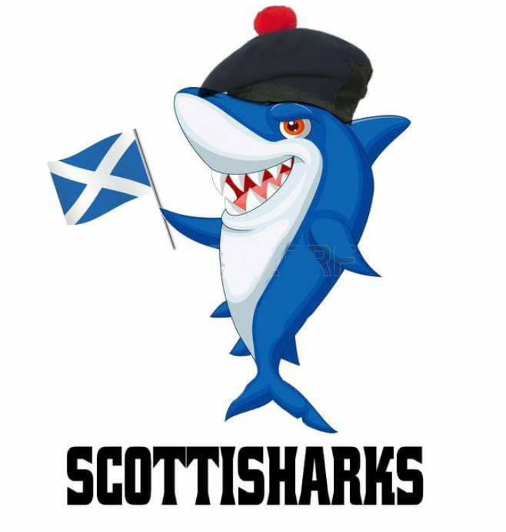 Scottish Shark Enterprises - social services organization in Worcester, MA