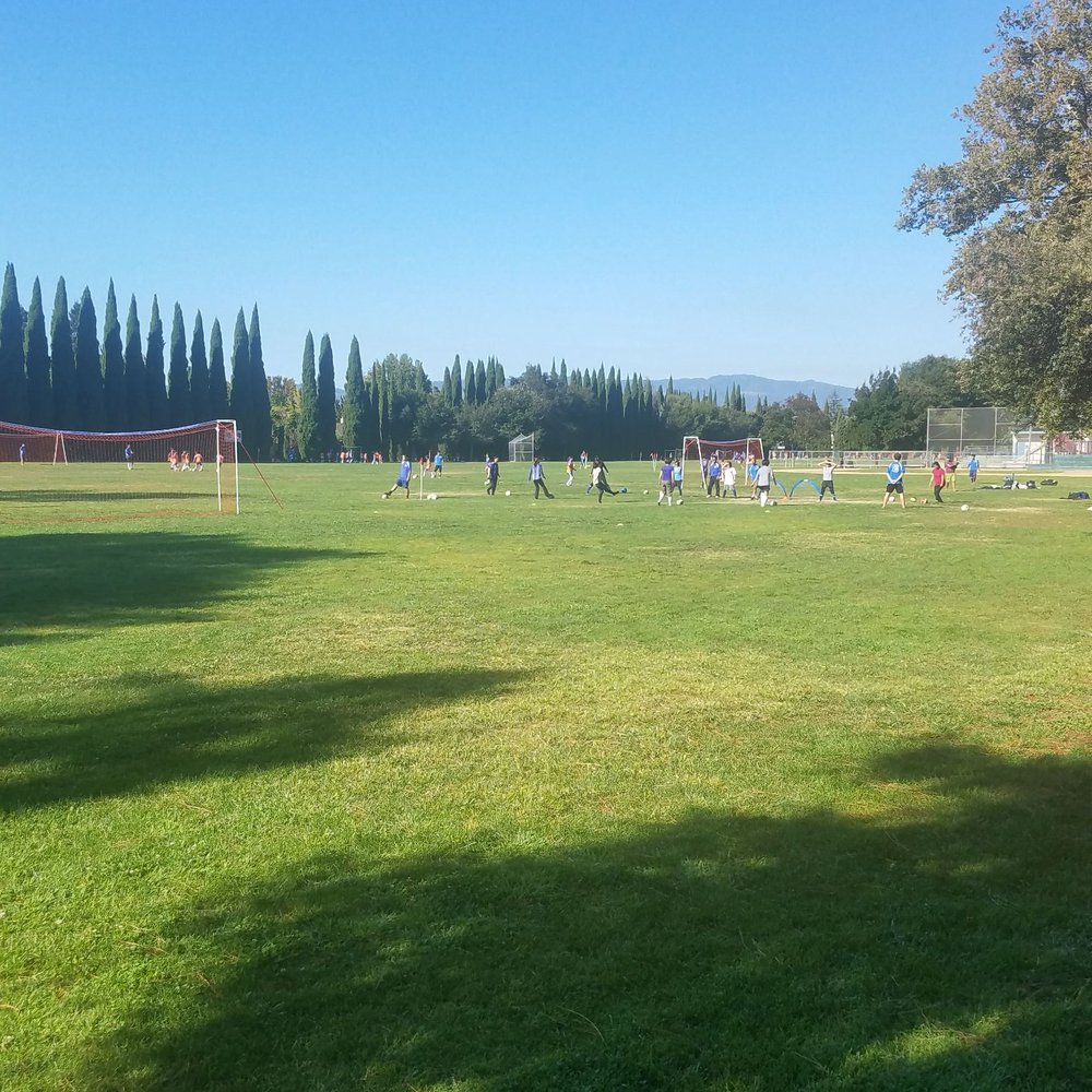 Ponderosa Park - Large field. - Parks Near Me - Sunnyvale, California Ponderosa Park - Large field. - Parks Near Me - Sunnyvale, California