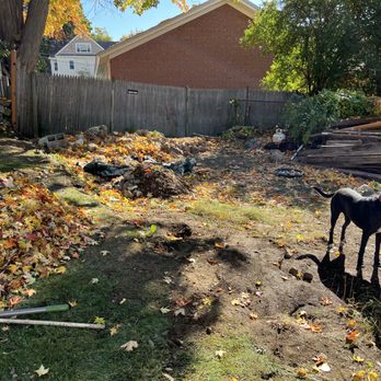 Irys Disposal - After - Junk Removal & Hauling Near Me
