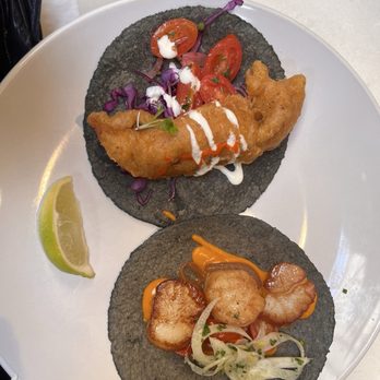 Holbox - Fish taco and scallop taco - Latin American Near Me - Los Angeles, California Holbox - Fish taco and scallop taco - Latin American Near Me - Los Angeles, California