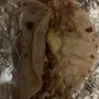 Photo of Taqueria Lele’s