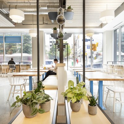 Mad Radish l Healthy Restaurant & Catering by null