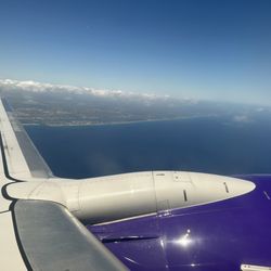 Avelo Airlines gift card