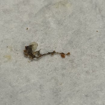 Marco's Pizza - What was found in our pizza. - Pizza Near Me - Cypress, Texas Marco's Pizza - What was found in our pizza. - Pizza Near Me - Cypress, Texas