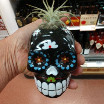 Trader Joe's - Voodoo Vase - Grocery Near Me - Portland, Oregon Trader Joe's - Voodoo Vase - Grocery Near Me - Portland, Oregon