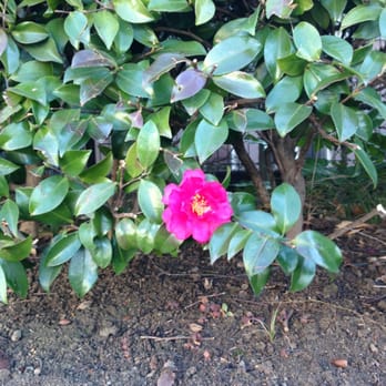 学習院大学 47 Photos Colleges Universities 目白1 5 1 豊島区 東京都 Japan Phone Number Yelp