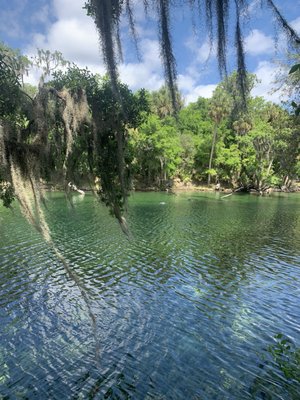 Blue Spring Adventures by null