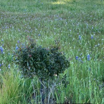 Foothill Regional Park - Hiking Near Me - Windsor, California