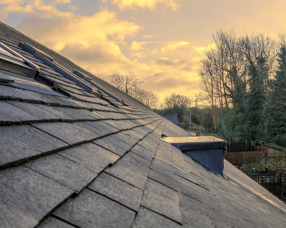Slide of Wiener Dog Roofing