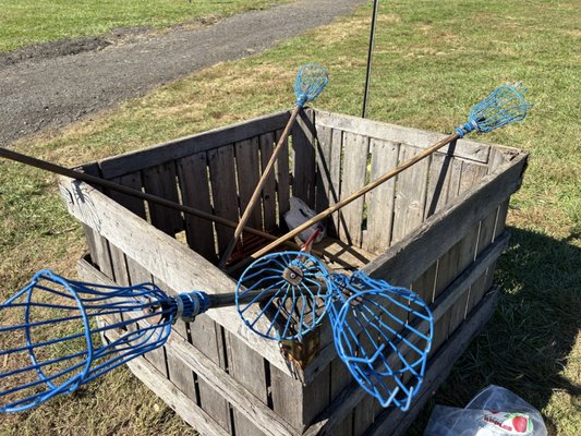 Stribling Orchard by null