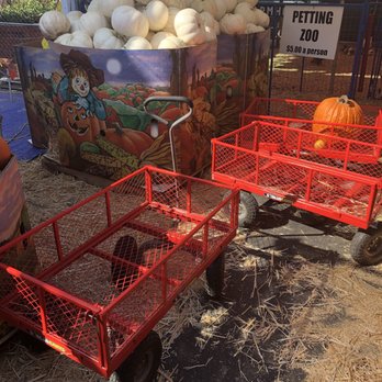 Pasadena Pumpkin Patch - Wagons to stack your pumpkins in - Pumpkin Patches Near Me - Pasadena, California