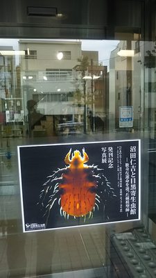 Meguro Parasitological Museum by null