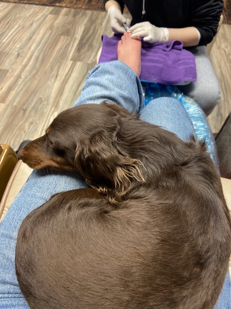 LEFAME NAIL LOUNGE & SPA Updated September 2024 12 Photos & 14