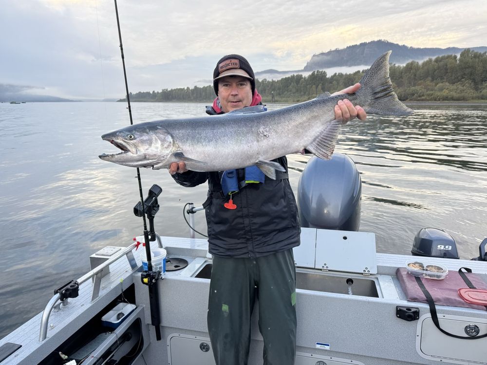 Fishing With David Pyle Logo