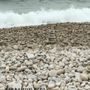Photo of School House Beach