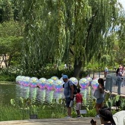 Chicago Botanic Garden - Evanescent