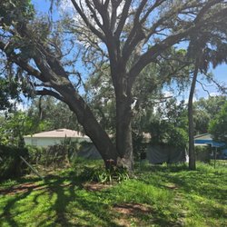 F & M Tree Services