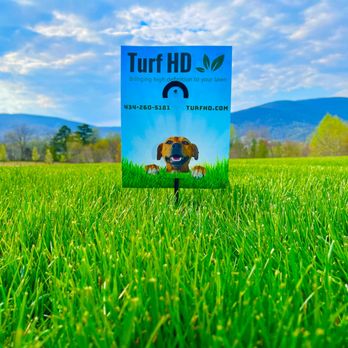 Turf HD - Turf HD - Lawn 4 - Lawn Services Near Me Turf HD - Turf HD - Lawn 4 - Lawn Services Near Me