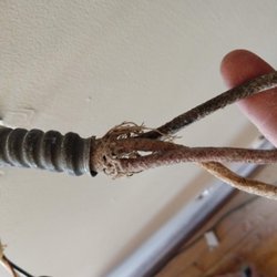 University Electric - Cloth wires in apartment