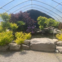 Koi pond inside greenhouse