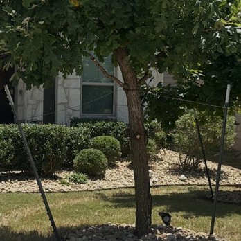 Straight Edge Landscaping - Front landscaping bed and trees. - Landscaping Near Me - Leander, Texas Straight Edge Landscaping - Front landscaping bed and trees. - Landscaping Near Me - Leander, Texas