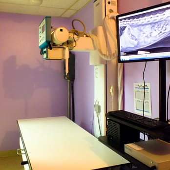 Golden Gate Animal Clinic - Radiology - Veterinarians Near Me - Naples, Florida Golden Gate Animal Clinic - Radiology - Veterinarians Near Me - Naples, Florida