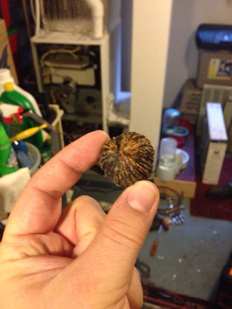 REED WRIGHT HEATING CO. Updated October 2024 47 Reviews 2212 B