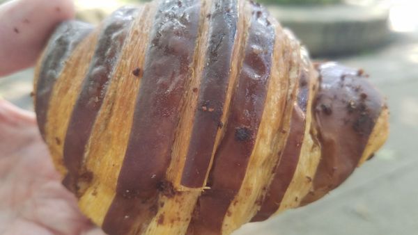 Boulangerie les Co'pains d'abord by null