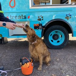 Freedom Barks Dog Park - Treat truck event at the dog park