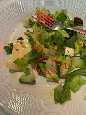 City Cafe Diner by null